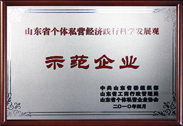 2010年山東省個體私營經(jīng)濟(jì)踐行科學(xué)發(fā)展觀示范企業(yè)